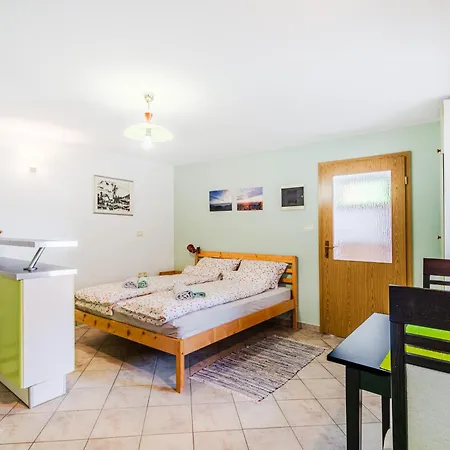 Apartma Vucic Apartment