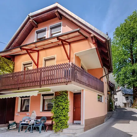 Apartma Vucic Apartment
